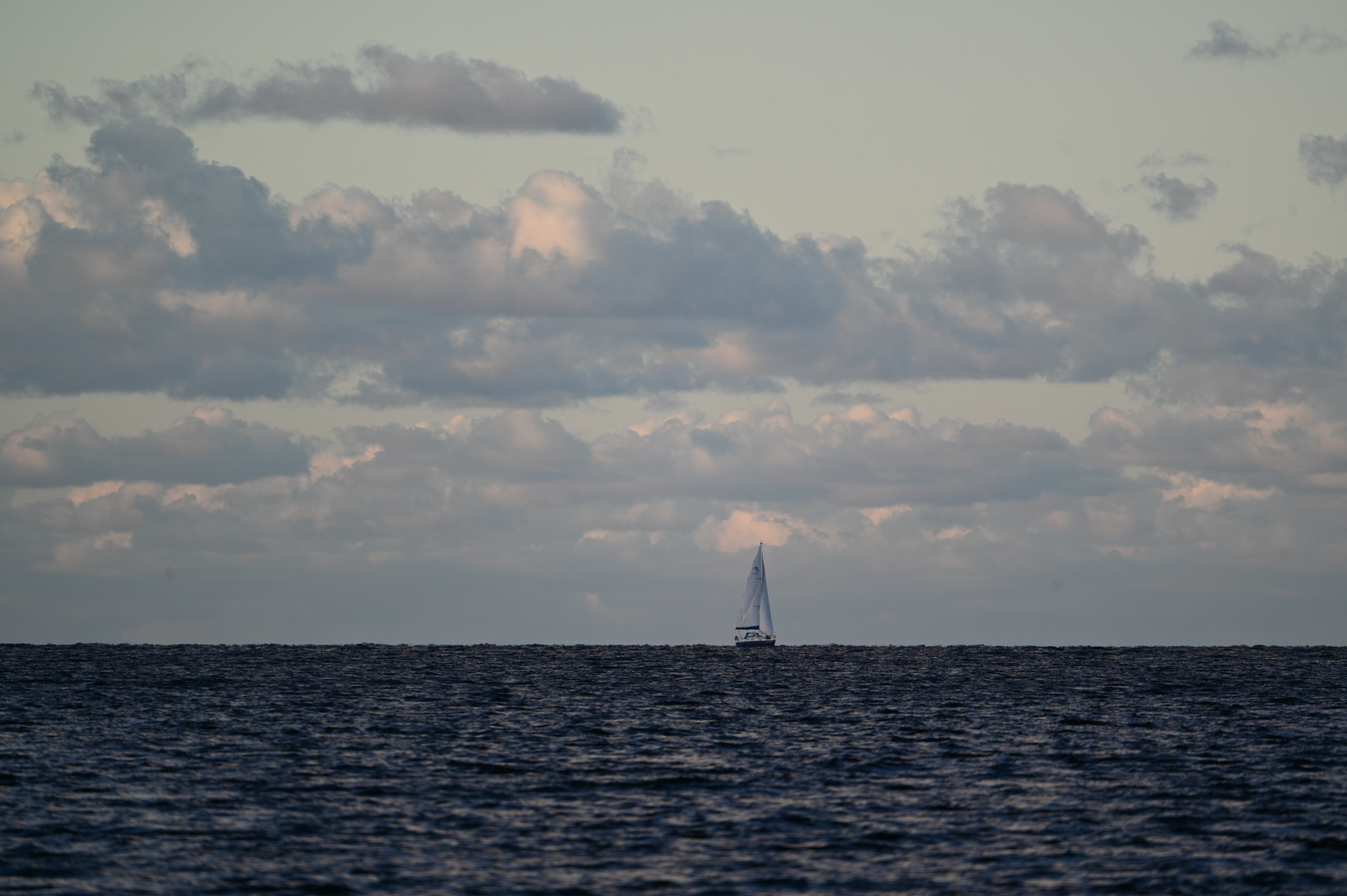 2025/10/18 - walk/DSC_0238.JPG